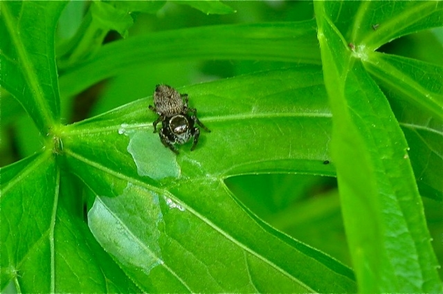f:id:okiraku_tonbo:20120513164440j:plain f:id:okiraku_tonbo:20120513164440j:plain
