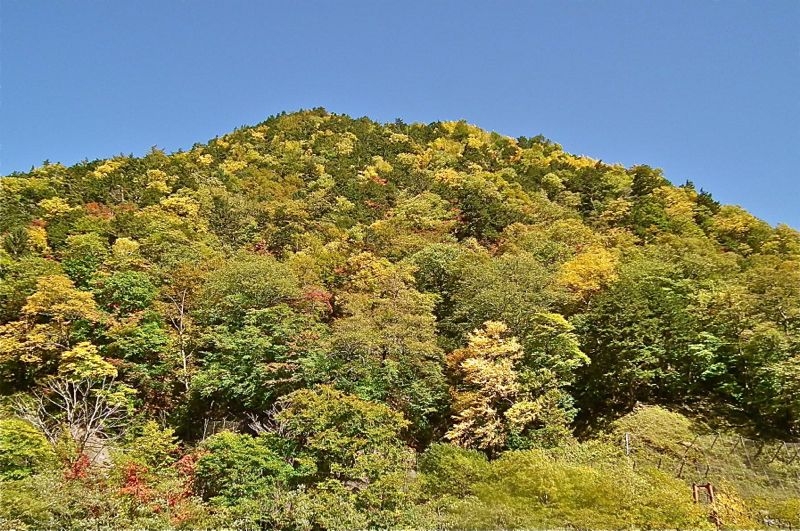 f:id:okiraku_tonbo:20121019114645j:plain f:id:okiraku_tonbo:20121019114645j:plain