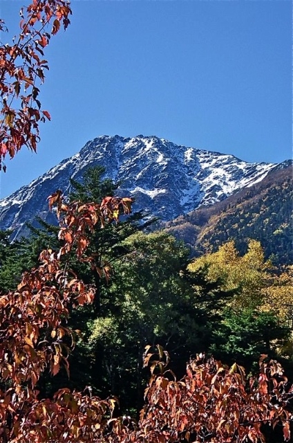 f:id:okiraku_tonbo:20121024173539j:plain f:id:okiraku_tonbo:20121024173539j:plain