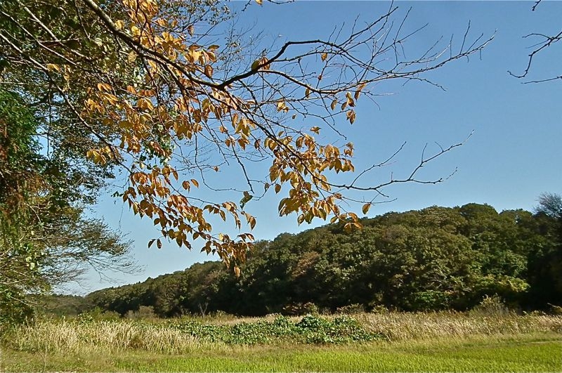 f:id:okiraku_tonbo:20121114100849j:plain f:id:okiraku_tonbo:20121114100849j:plain