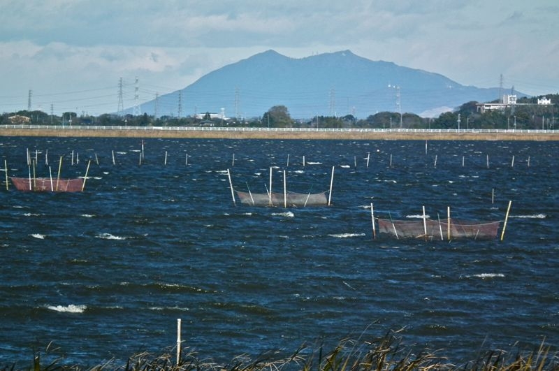 f:id:okiraku_tonbo:20121127093958j:plain f:id:okiraku_tonbo:20121127093958j:plain