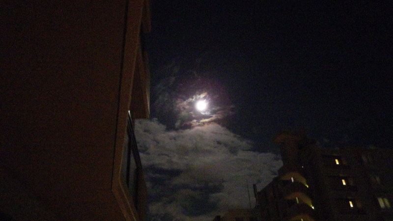 f:id:okko326:20140908233607j:plain f:id:okko326:20140908233607j:plain