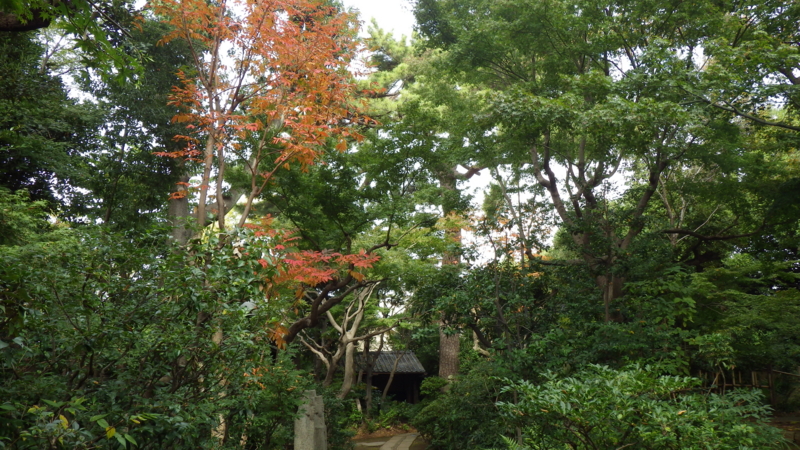 f:id:okko326:20141109090940j:plain