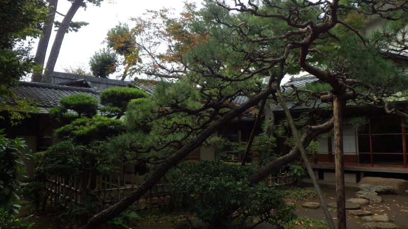 f:id:okko326:20141109091422j:plain