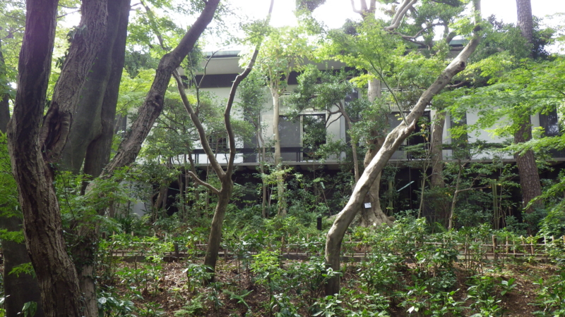 f:id:okko326:20141109091725j:plain