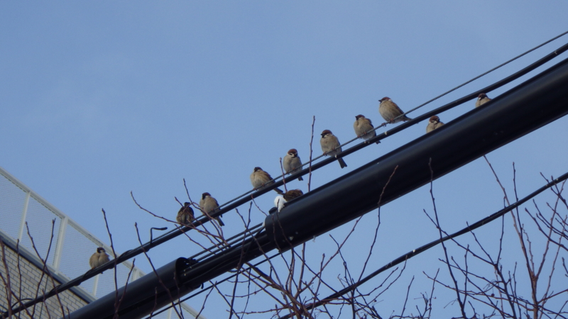 f:id:okko326:20150103172905j:plain f:id:okko326:20150103172905j:plain