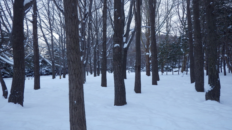 f:id:okko326:20150103173056j:plain f:id:okko326:20150103173056j:plain