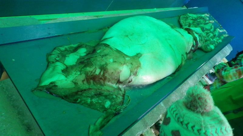 f:id:okko326:20150103173645j:plain f:id:okko326:20150103173645j:plain