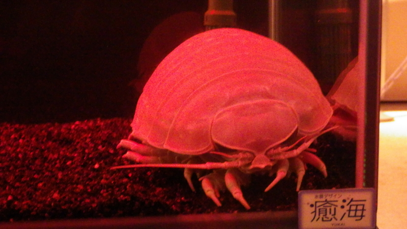 f:id:okko326:20150103173719j:plain f:id:okko326:20150103173719j:plain