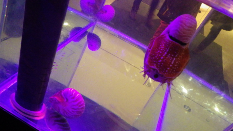 f:id:okko326:20150103174026j:plain f:id:okko326:20150103174026j:plain