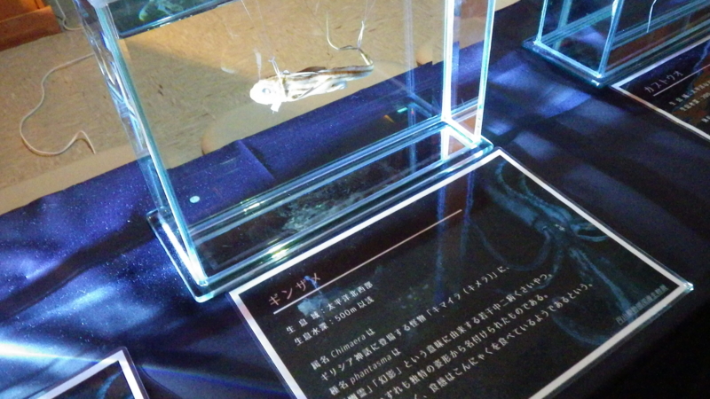 f:id:okko326:20150103174107j:plain f:id:okko326:20150103174107j:plain