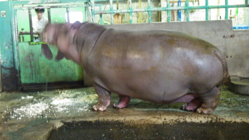 f:id:okko326:20150103174236j:plain f:id:okko326:20150103174236j:plain