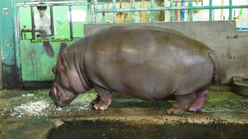 f:id:okko326:20150103174315j:plain f:id:okko326:20150103174315j:plain