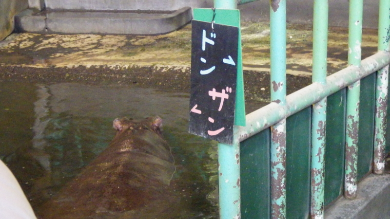 f:id:okko326:20150103174352j:plain f:id:okko326:20150103174352j:plain