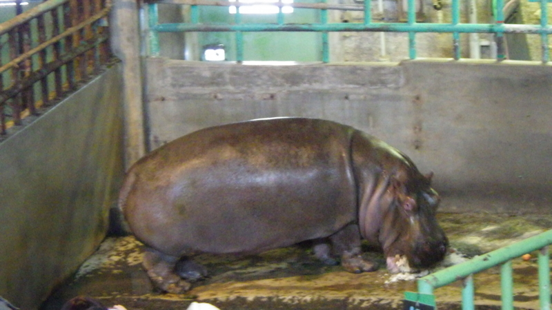 f:id:okko326:20150103174436j:plain f:id:okko326:20150103174436j:plain