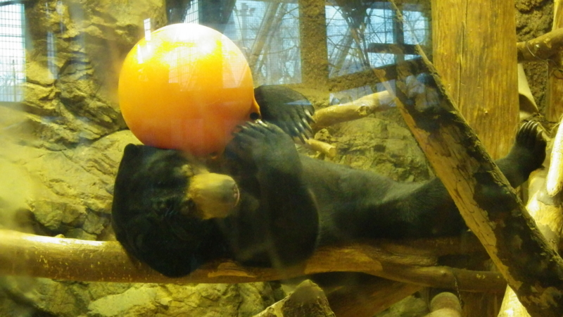 f:id:okko326:20150103174605j:plain f:id:okko326:20150103174605j:plain