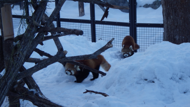 f:id:okko326:20150103174643j:plain f:id:okko326:20150103174643j:plain