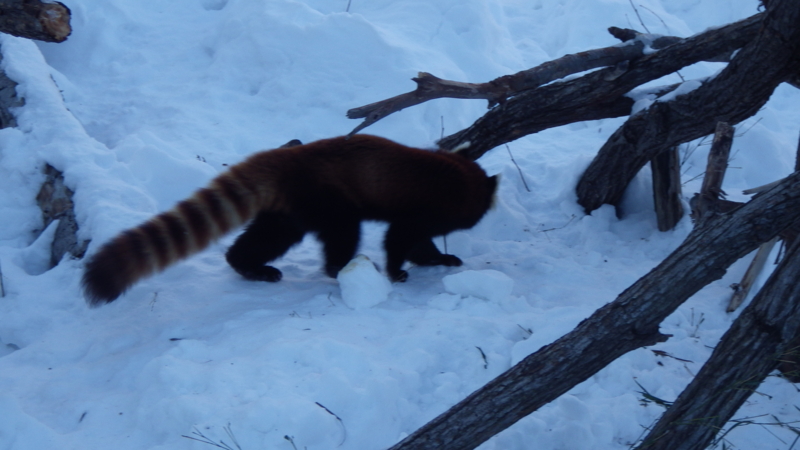 f:id:okko326:20150103174729j:plain f:id:okko326:20150103174729j:plain