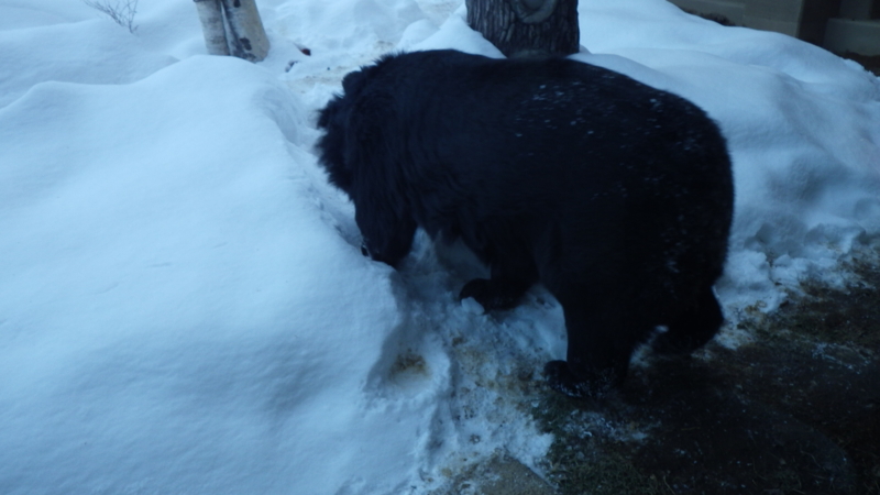 f:id:okko326:20150103174806j:plain f:id:okko326:20150103174806j:plain