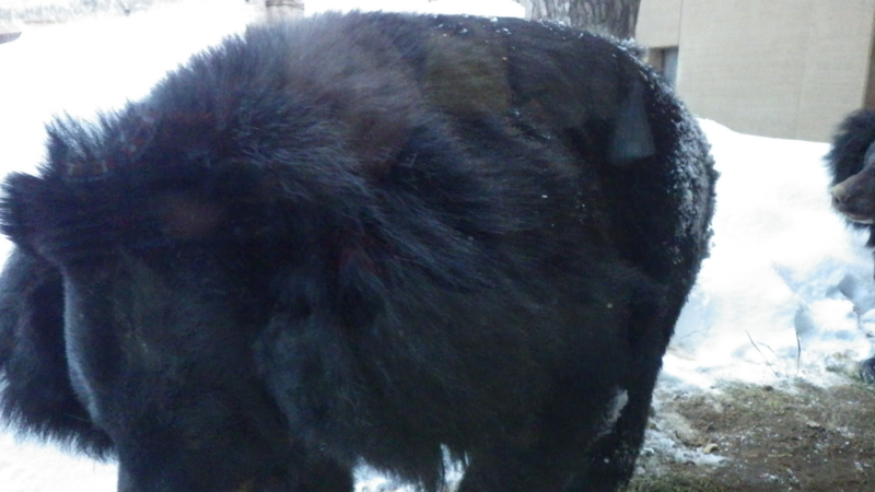 f:id:okko326:20150103174841j:plain f:id:okko326:20150103174841j:plain