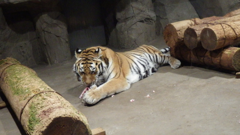 f:id:okko326:20150103174920j:plain f:id:okko326:20150103174920j:plain