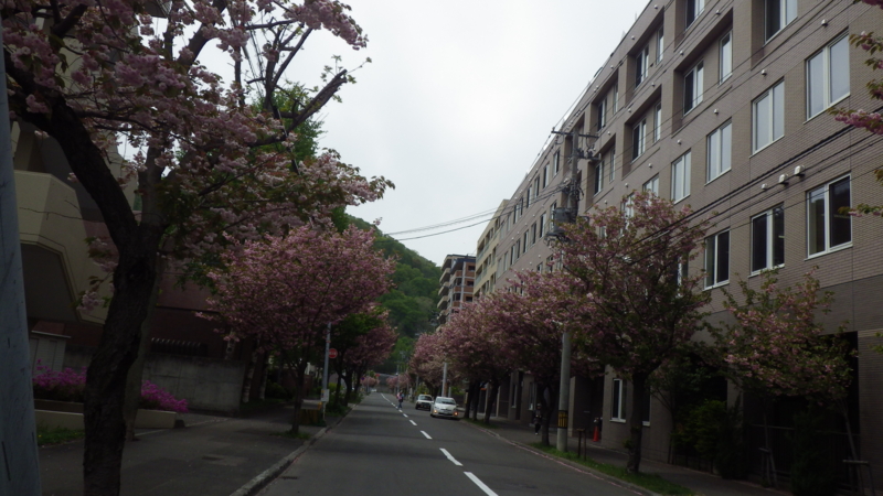 f:id:okko326:20150508214647j:plain f:id:okko326:20150508214647j:plain