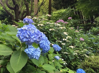 f:id:okko326:20150607205123j:plain f:id:okko326:20150607205123j:plain
