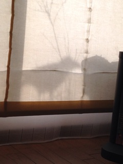 f:id:okko326:20150617123844j:plain f:id:okko326:20150617123844j:plain