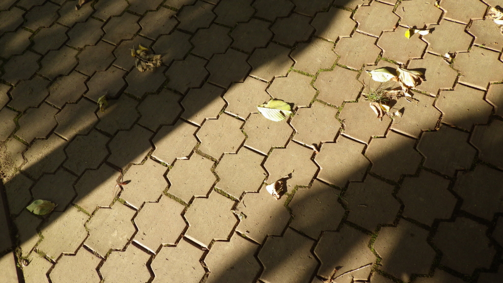 f:id:okko326:20151011173439j:plain f:id:okko326:20151011173439j:plain