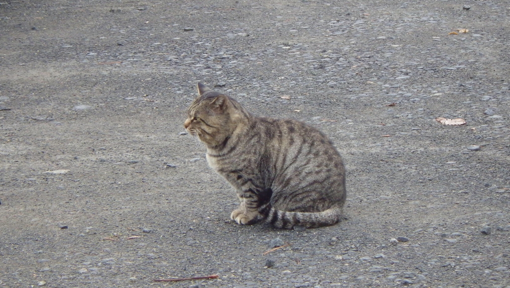 f:id:okko326:20151014232139j:plain