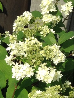 f:id:okko326:20160722180853j:plain f:id:okko326:20160722180853j:plain