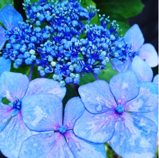 f:id:okko326:20160729132814j:plain f:id:okko326:20160729132814j:plain