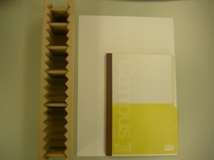 f:id:okmtaym:20060514102613j:image f:id:okmtaym:20060514102613j:image