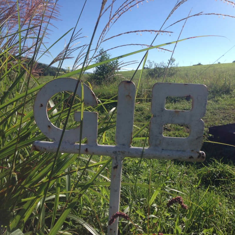 f:id:okumap:20140824162554j:image:w360 f:id:okumap:20140824162554j:image:w360