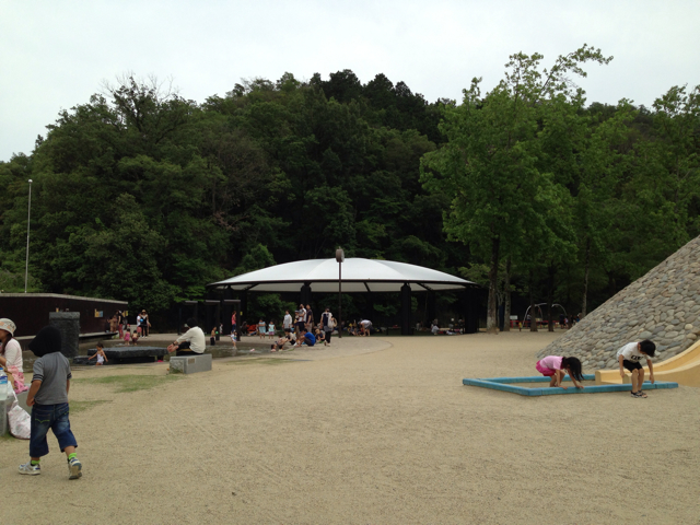 f:id:okumusi:20130704200835j:plain f:id:okumusi:20130704200835j:plain