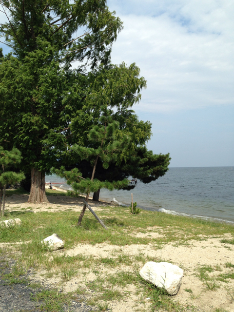 f:id:okumusi:20130908162412j:plain f:id:okumusi:20130908162412j:plain