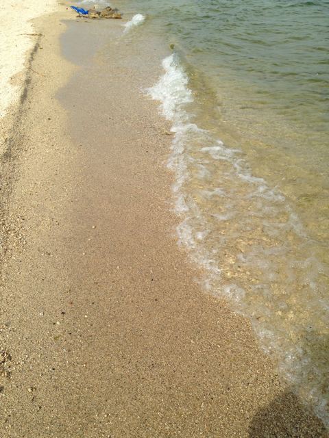 f:id:okumusi:20130908162425j:plain f:id:okumusi:20130908162425j:plain