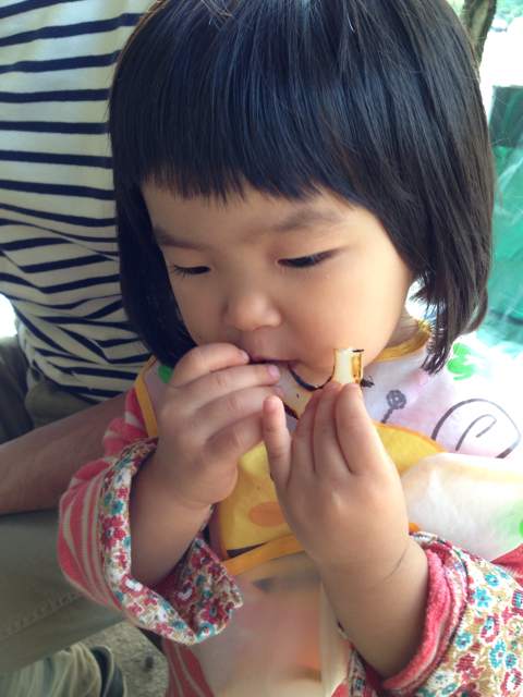 f:id:okumusi:20131021092543j:plain f:id:okumusi:20131021092543j:plain
