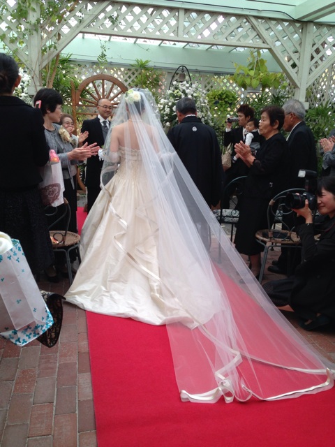 f:id:okumusi:20131107220215j:plain f:id:okumusi:20131107220215j:plain