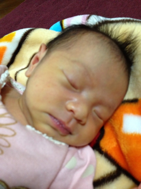 f:id:okumusi:20140103132834j:plain f:id:okumusi:20140103132834j:plain