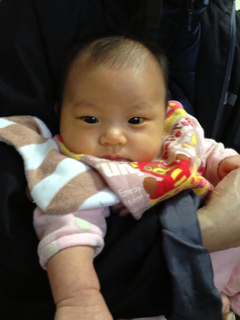 f:id:okumusi:20140211132640j:plain f:id:okumusi:20140211132640j:plain