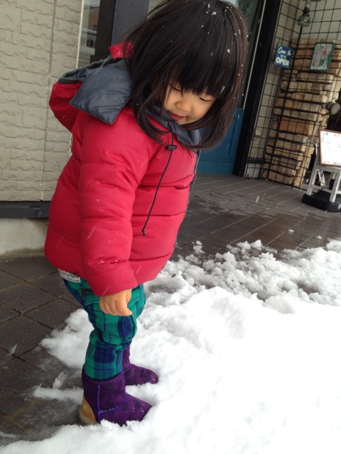 f:id:okumusi:20140216140542j:plain f:id:okumusi:20140216140542j:plain