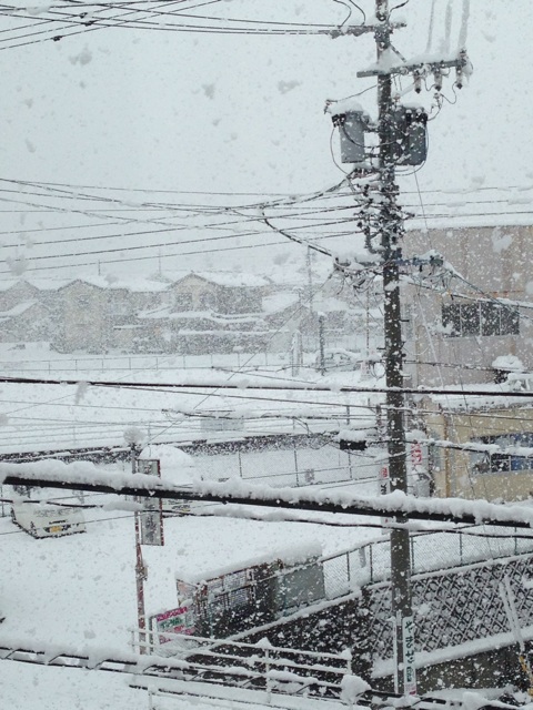 f:id:okumusi:20140216140626j:plain f:id:okumusi:20140216140626j:plain