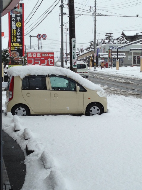 f:id:okumusi:20140216140638j:plain f:id:okumusi:20140216140638j:plain