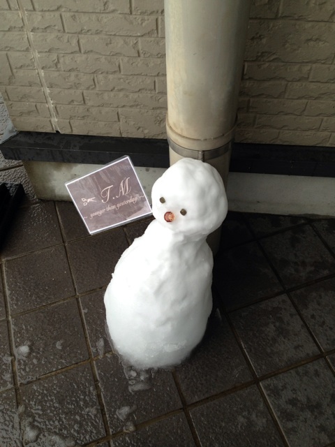 f:id:okumusi:20140216140735j:plain f:id:okumusi:20140216140735j:plain