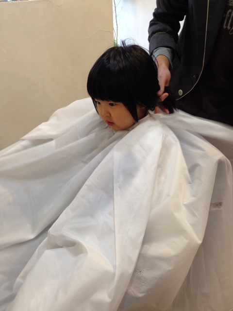 f:id:okumusi:20140216140804j:plain f:id:okumusi:20140216140804j:plain