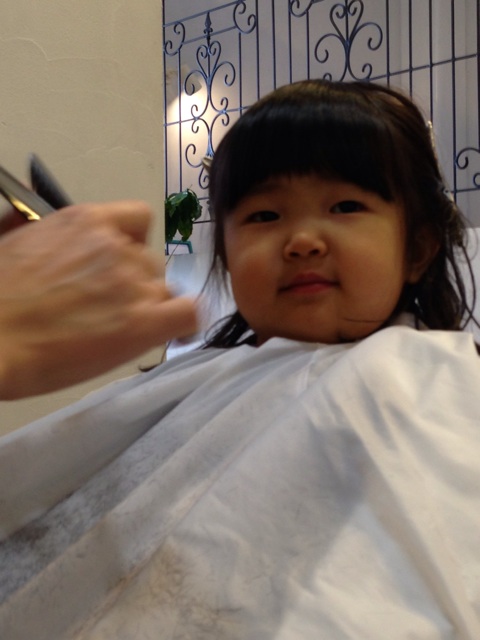 f:id:okumusi:20140216140836j:plain f:id:okumusi:20140216140836j:plain