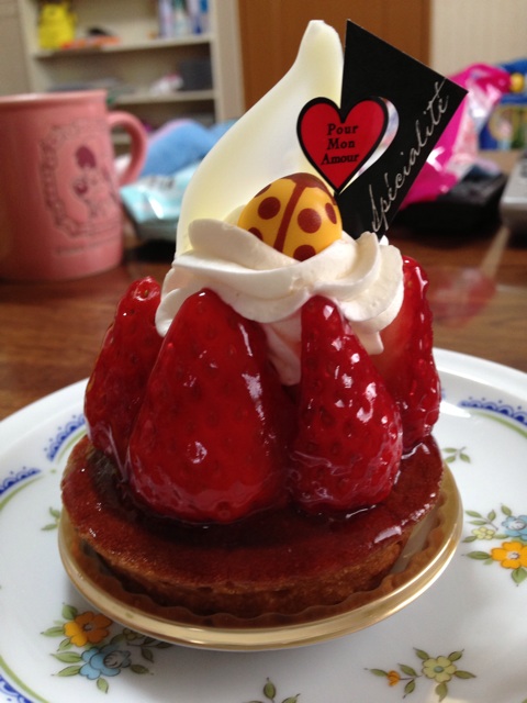 f:id:okumusi:20140216142355j:plain f:id:okumusi:20140216142355j:plain