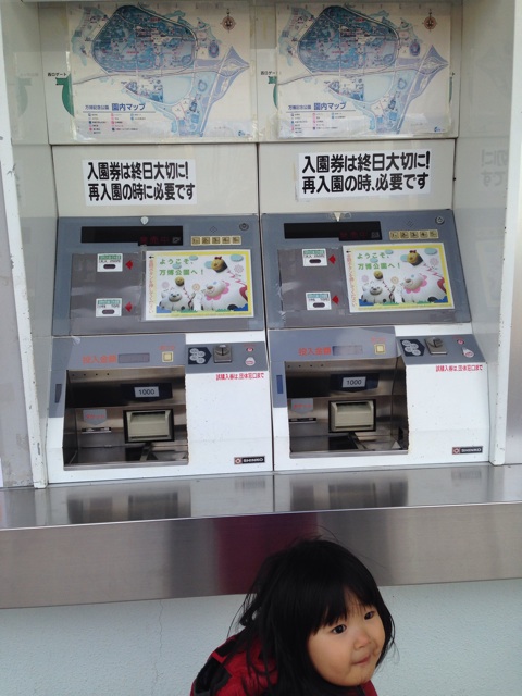 f:id:okumusi:20140322095150j:plain f:id:okumusi:20140322095150j:plain
