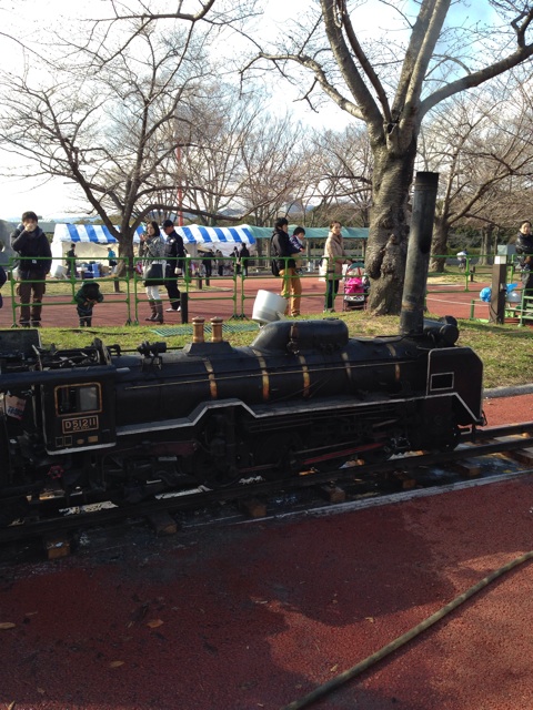 f:id:okumusi:20140322095321j:plain f:id:okumusi:20140322095321j:plain